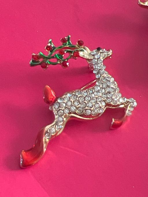  — Lovely brooch