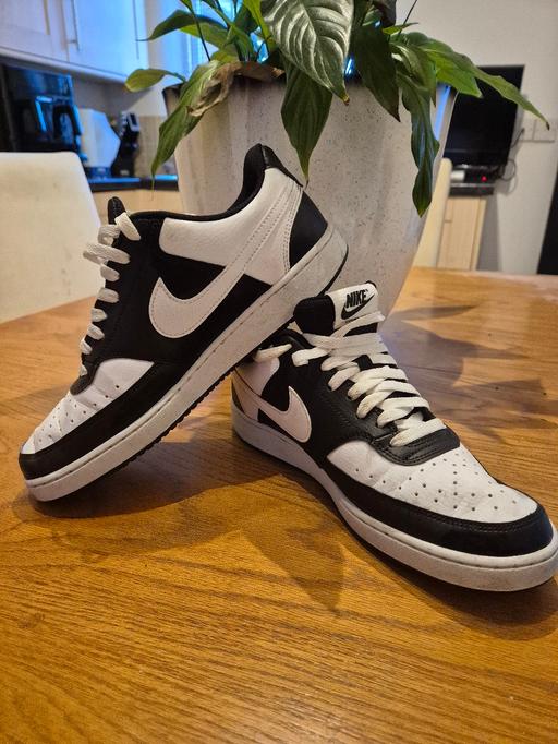 — nike dunks size 8