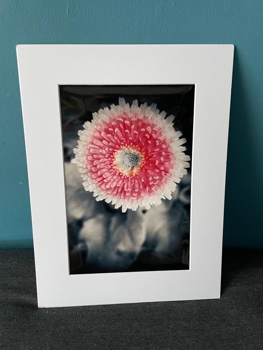 — 16x12 inch White Mounted Print Pink Flower
