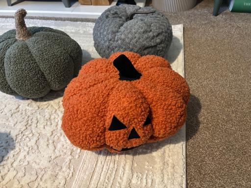  — Pumpkin bundle