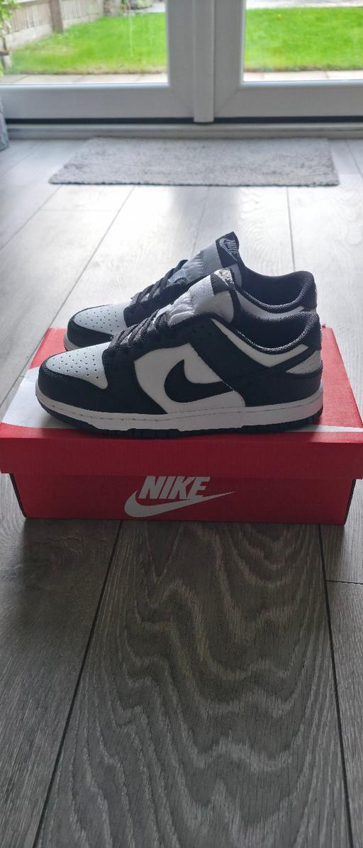  — Womens Nike Dunks Size 6