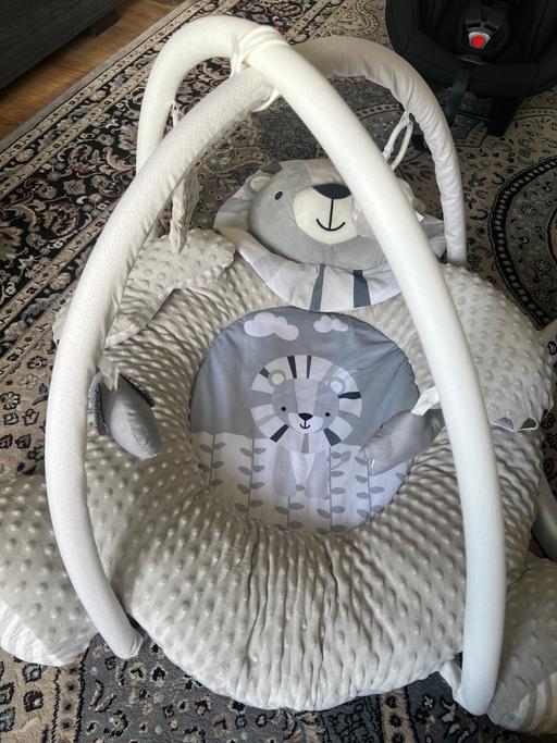  — Baby play gym