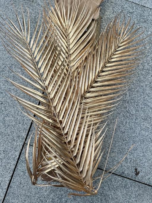  — 6PCS Gold Palm Leaves