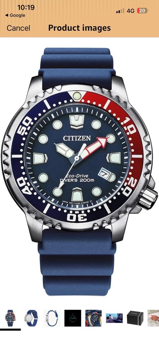  — Citizen Promaster diver