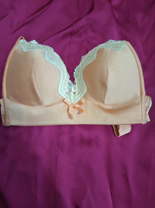  — Chesney Bra ,Brand New,Size M