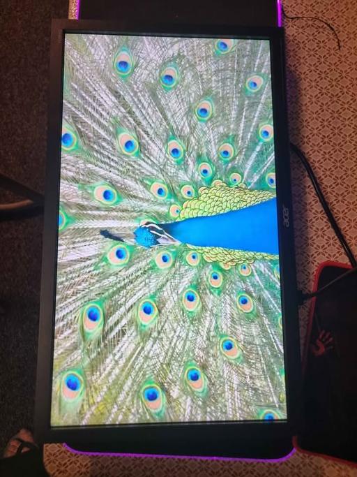  — Monitors