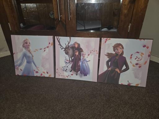  — frozen picture set