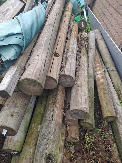  — Treated wooden logs