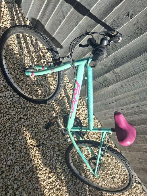  — girls bike