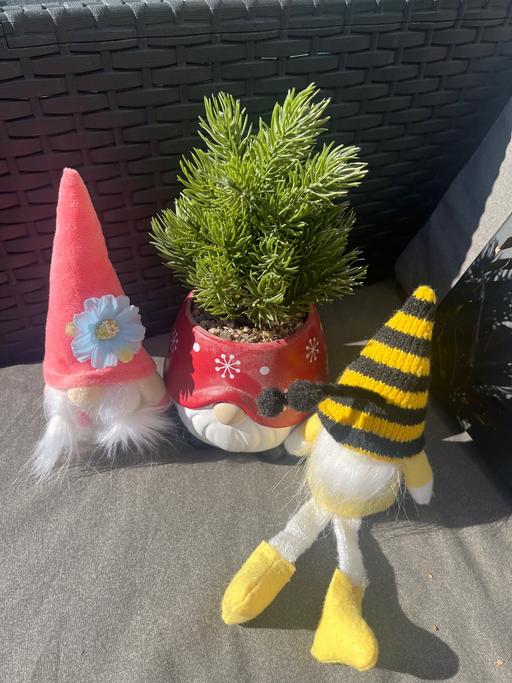  — Gnome bundle