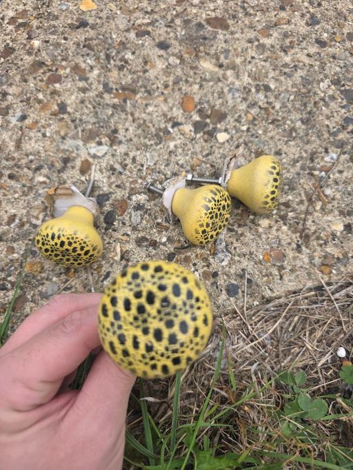  — x4 yellow with black print drawer pulls