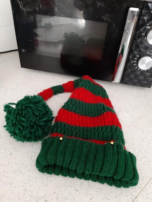  — elf hat