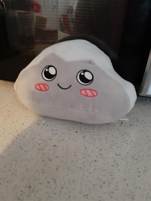  — pet rock toy