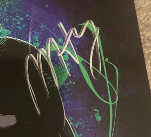  — WWE Matt Hardy attitude era hand-signed print