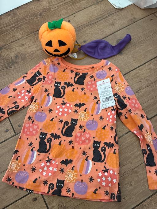  — Girls Halloween top age 2-3 years and plush
