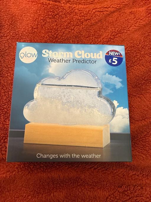  — Storm cloud weather predictor ornament