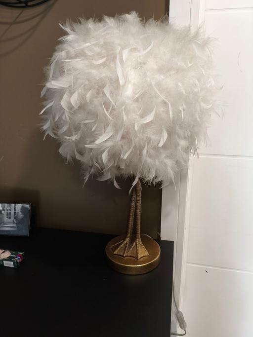  — Lampshade