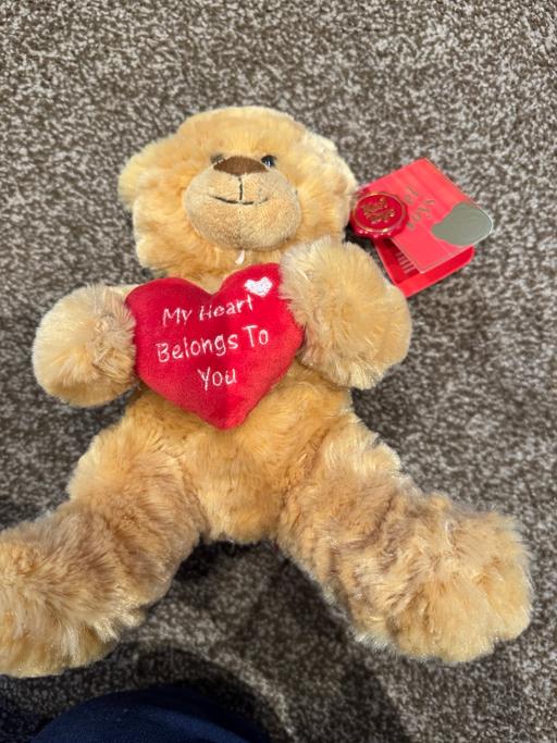  — Brand new my heart belongs to you bear