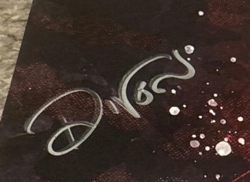  — WWE D-von Dudley hand signed print