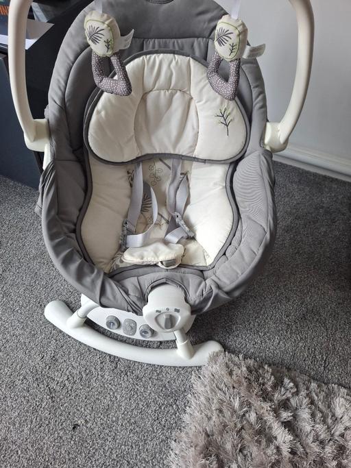  — baby swing