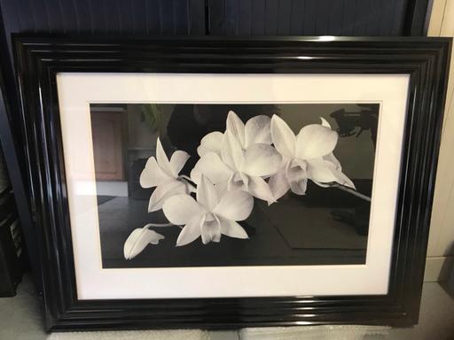 — Framed picture