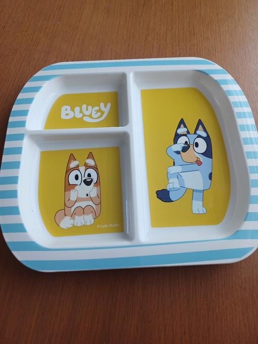  — bluey plate