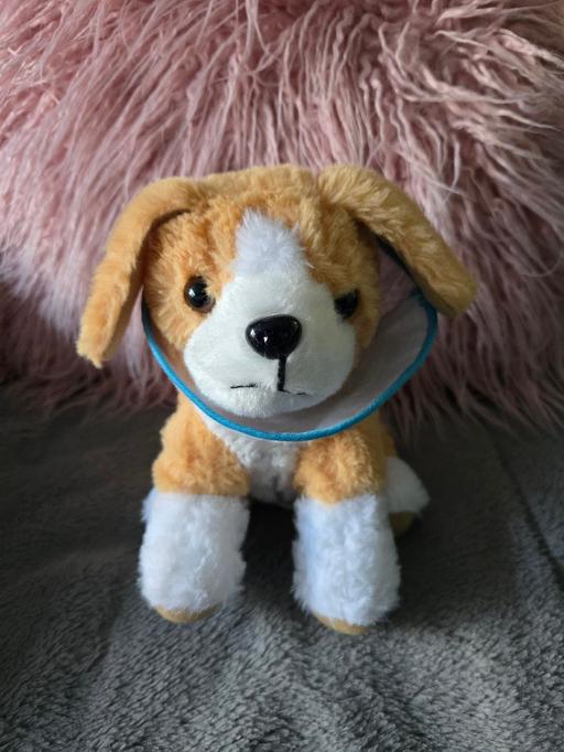  — puppy dog plush toy with dog collar