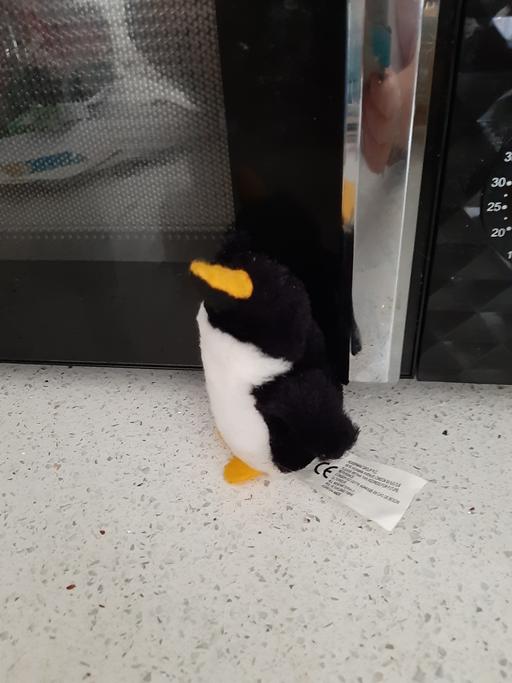  — penguin
