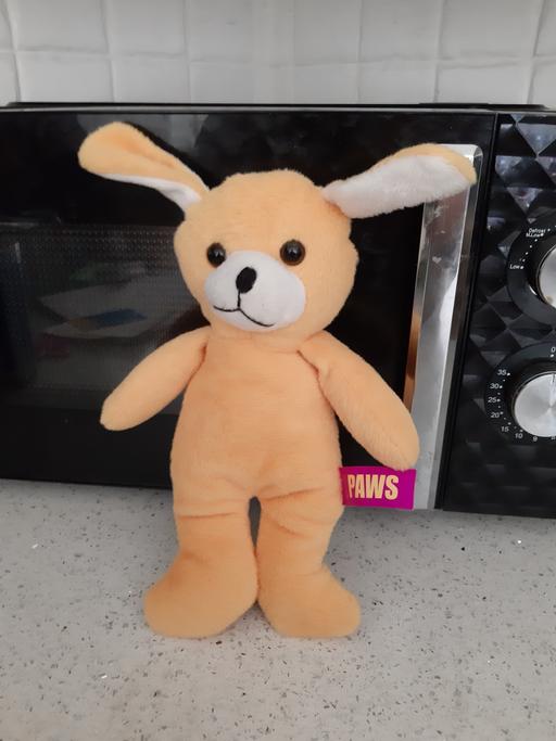  — bunny