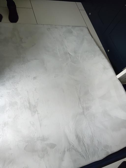  — New velour rug