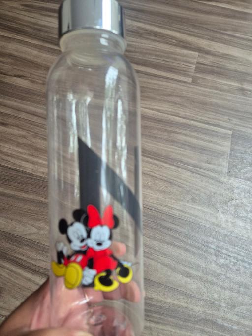 — letter N minnie mouse bottle