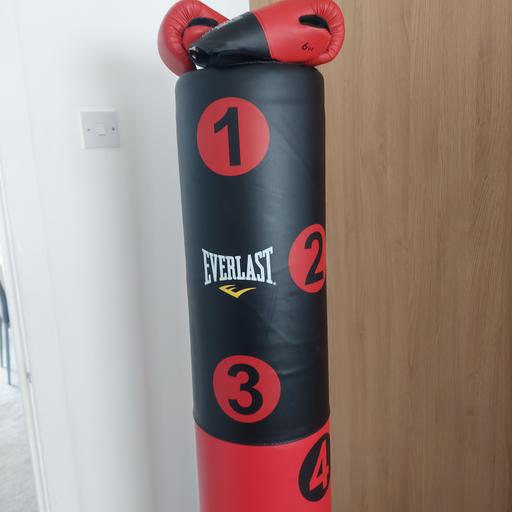  — everlast freestanding punch bag