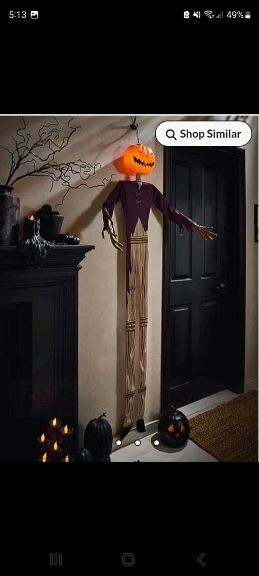  — pumkin king