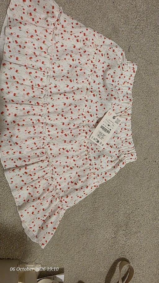  — zara skirt