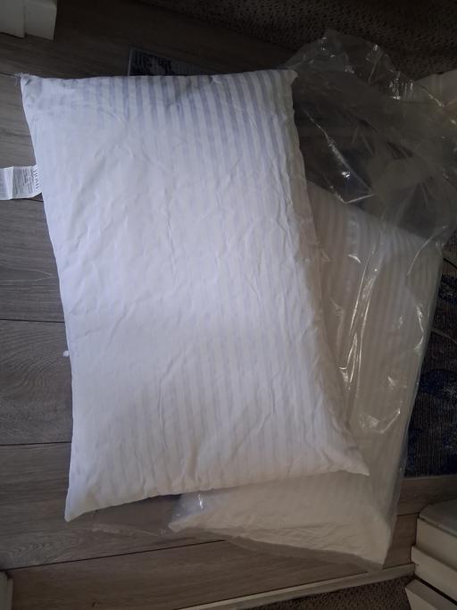  — 2 pk pillows