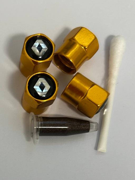  — Renault Tyre valve Caps