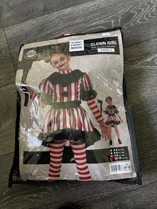  — Girls fancy dress costume