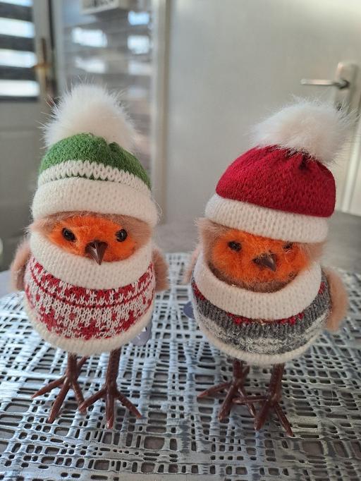  — 2x robins with tags
