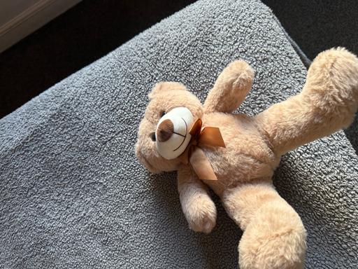  — Teddy bear