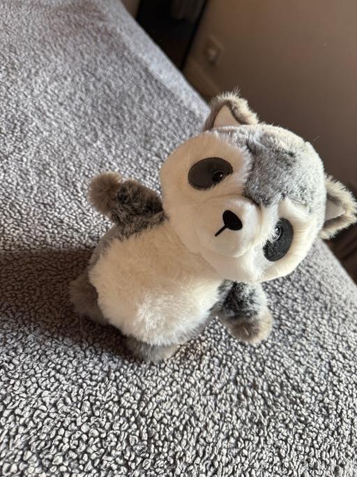  — Soft teddy