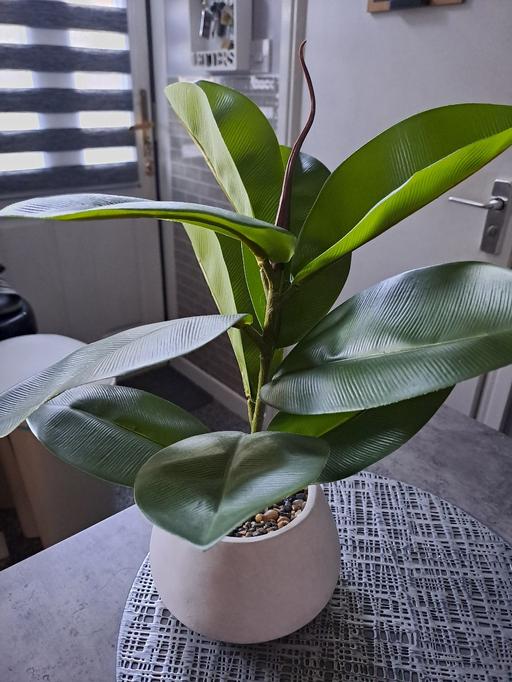  — nice sized artificial plant