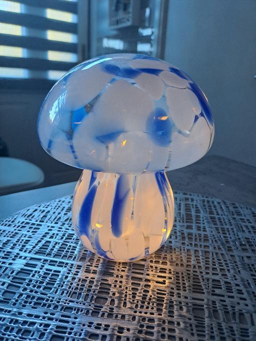  — mushroom light new