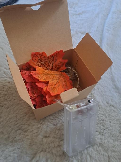  — maple leaf string lights