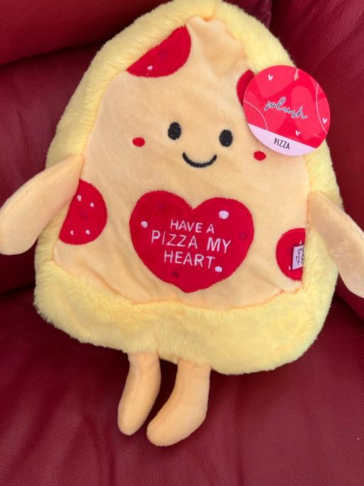  — New cuddle toy Pizza
