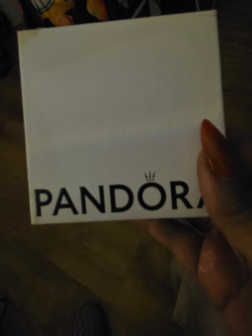  — Pandora Charm bracelet