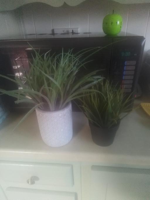  — TWO,ARTIFICIAL PLANTS