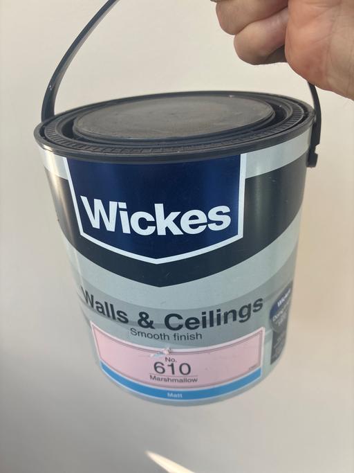  — Pink paint -size 2.5