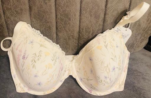  — Ladies bra size 38dd