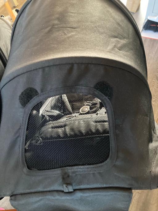  — Double buggy