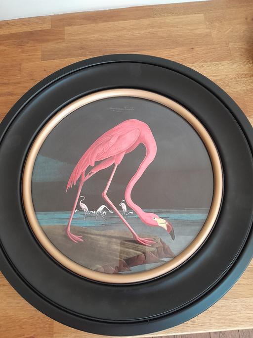  — Bird Picture